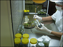 labtransformacion2